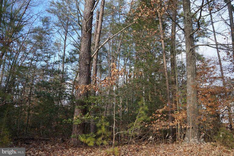 LOT 2 Golansville Rd - Photo 1
