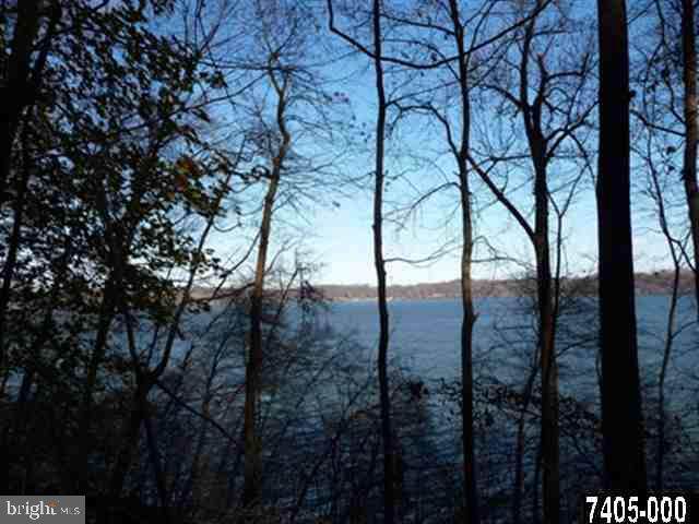 Lot 16 Hill-N-Dale Road - Photo 1