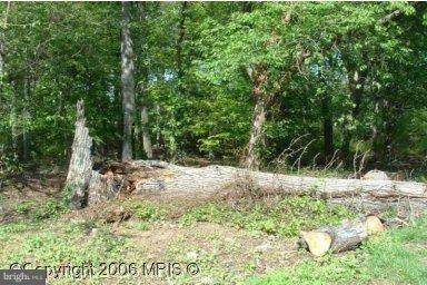 9315 Davidson Street - Photo 1