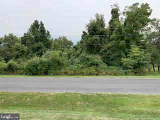 10 Susan Trail - Photo 1