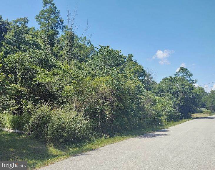 Sugar Run Road - Photo 1