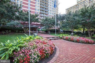 801 Pitt Street - Photo 1