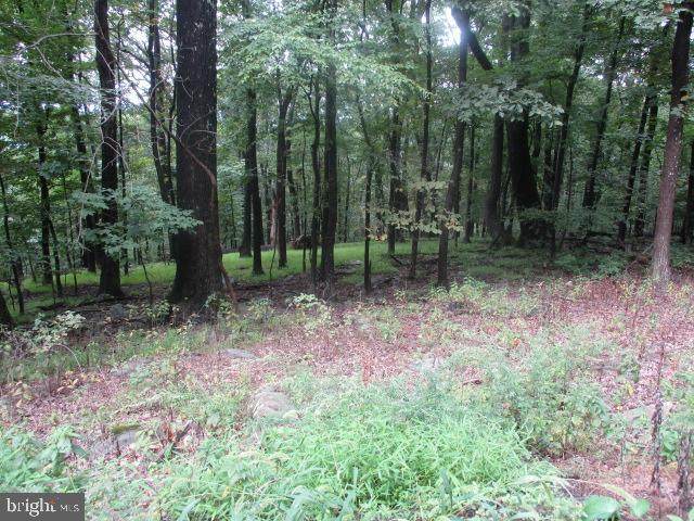 Wilderness Road - Photo 1