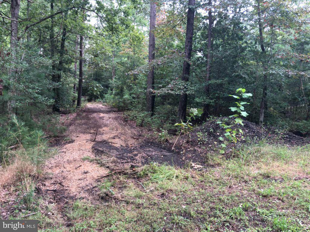 22553 Point Lookout - Photo 1