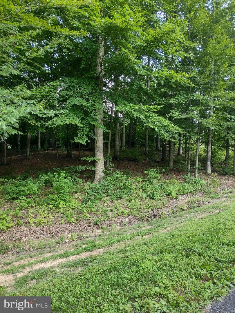 Fairview - Photo 1