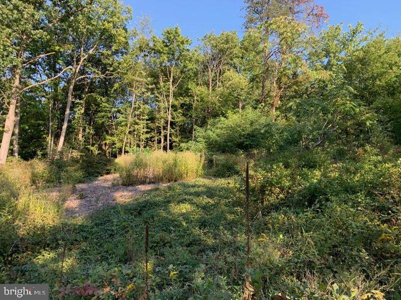 Lot 35 Beaver Trail - Photo 1