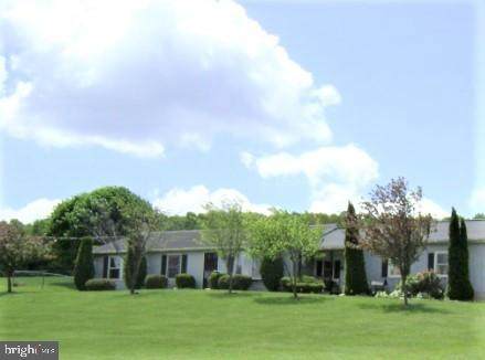 6457 Manheim Road - Photo 1