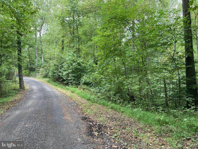 41920 Rodney Way - Photo 1
