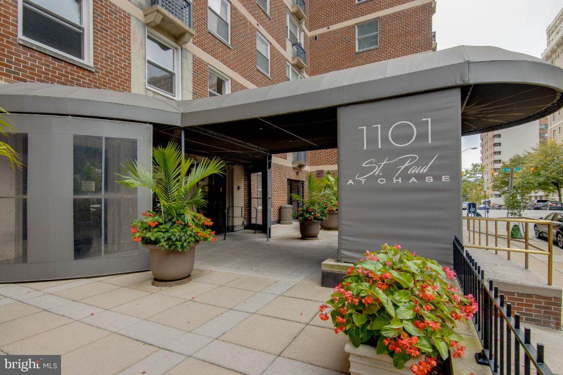 1101 Saint Paul Street - Photo 1