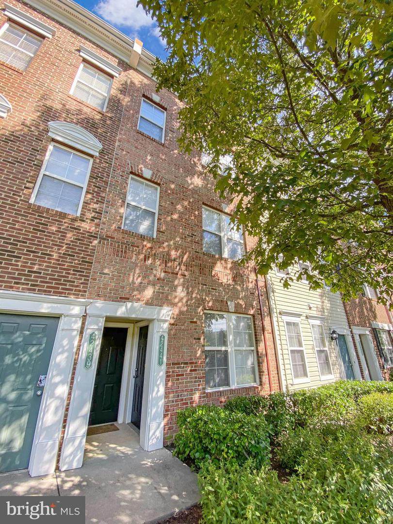 42441 Rockrose Square - Photo 1
