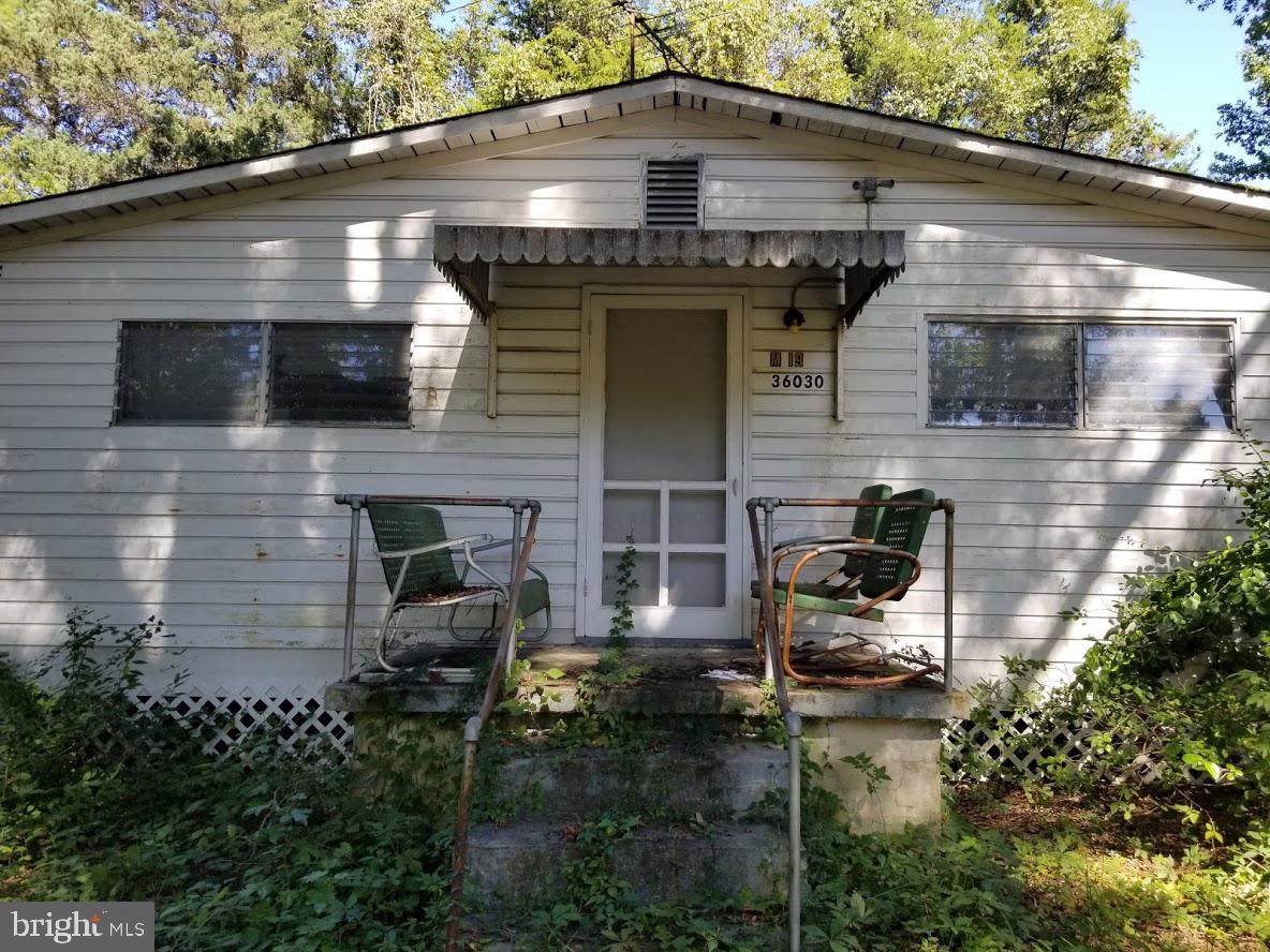 36030 Roosevelt Blvd - Photo 1