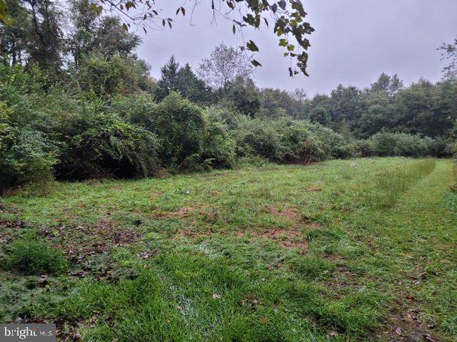 34 Fripps Old Road - Photo 1