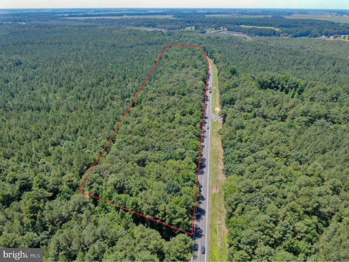 Harrison Ferry Rd - Photo 1
