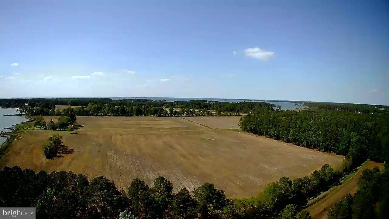 651 Hills Point Road - Photo 1