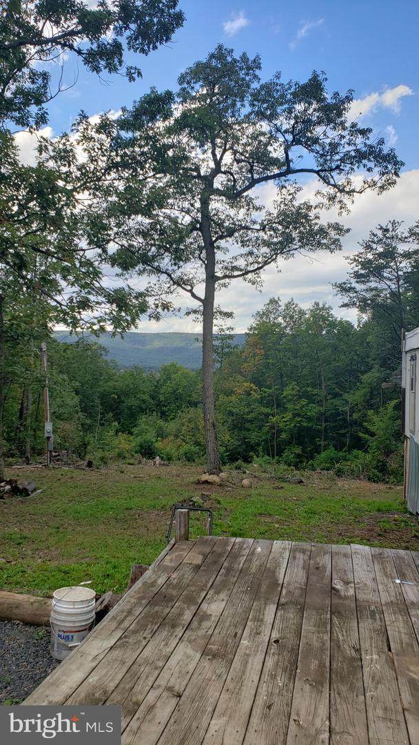 170 White Pine Lane Lane - Photo 1