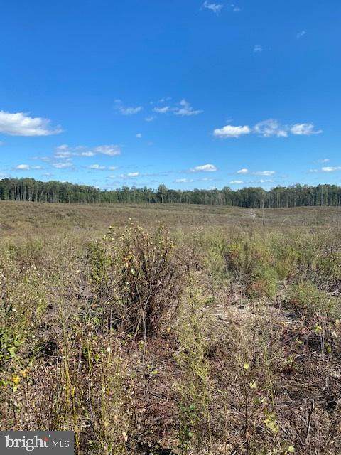 0 Mt Olive Road - Photo 1