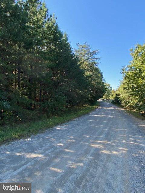 2069 Mt Olive Road - Photo 1