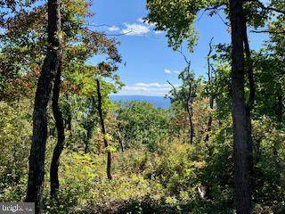 0 ARCHWOOD Trail - Photo 1