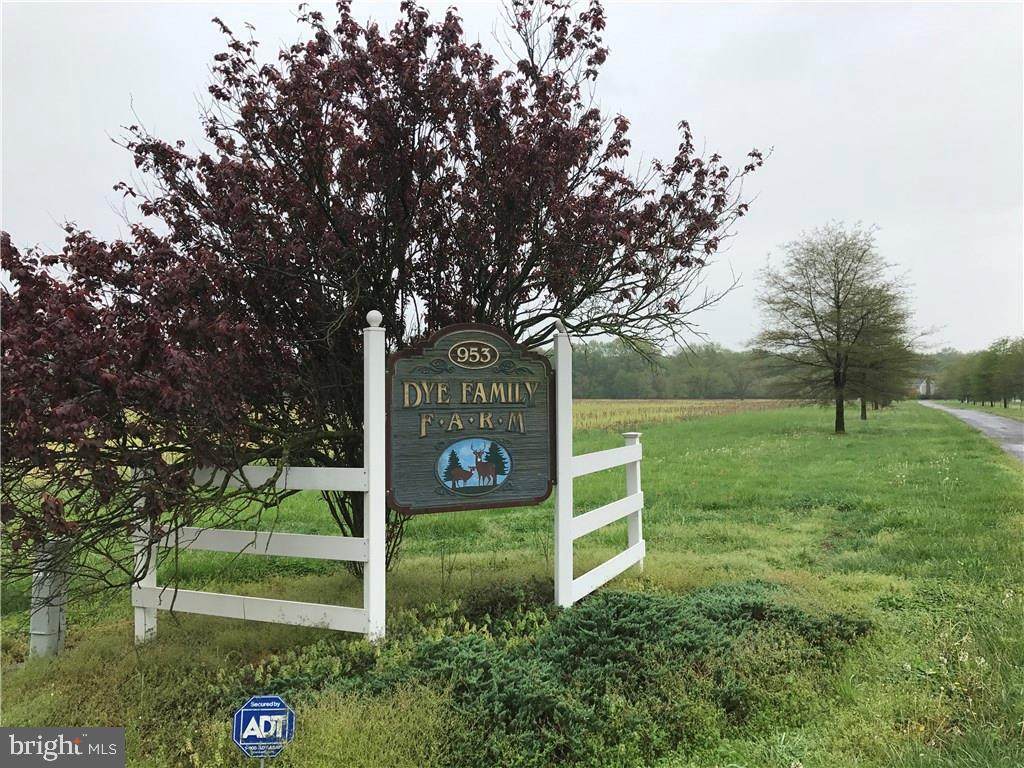 953 White Marsh Branch Lane - Photo 1