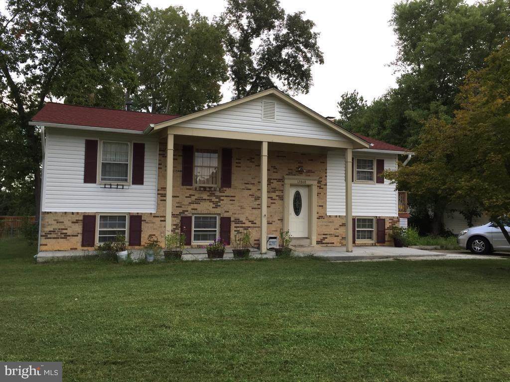 12808 Colby Drive - Photo 1