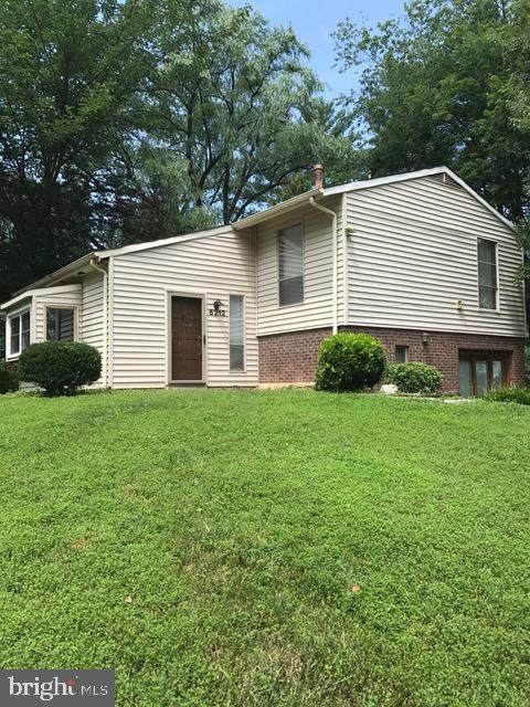 6212 Draco Street - Photo 1