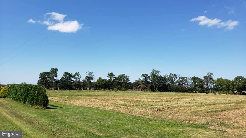 Lot 1 Bakerfield Road - Photo 1