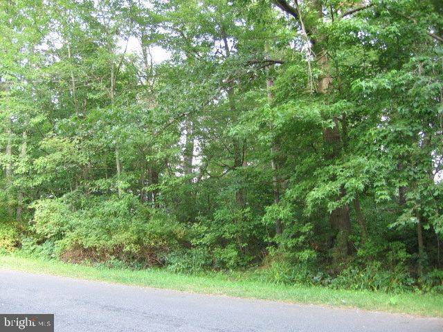 LOT 22-26 Ogle Street - Photo 1