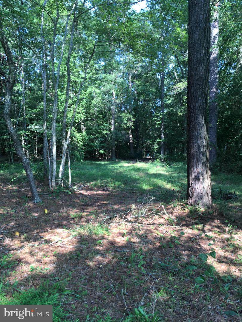 35316 Laws Road - Photo 1