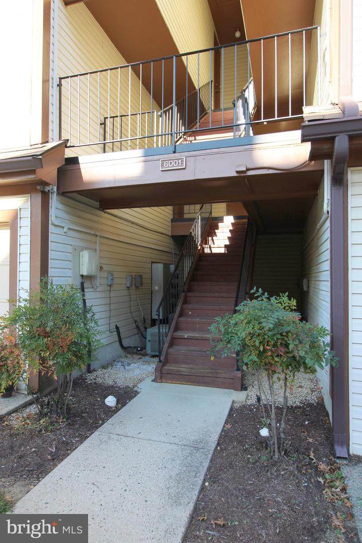 6001 Curtier Drive - Photo 1