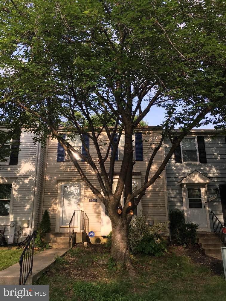 2611 Nemo Court - Photo 1