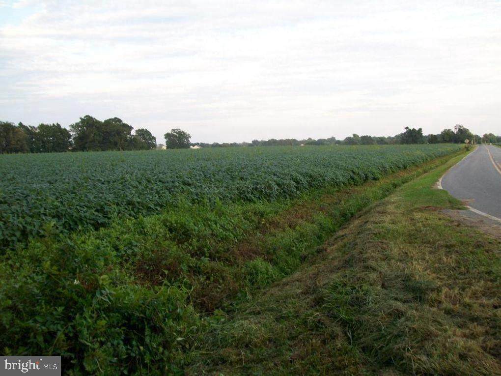 0 Evans Road - Photo 1
