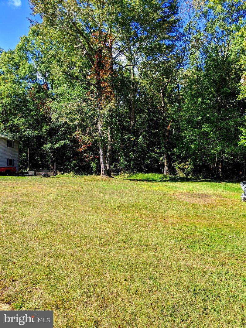 904 Dale Street - Photo 1