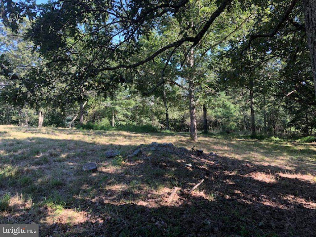 TBD Branch Mountain Lane - Photo 1