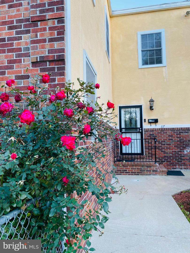 117 Morley Street - Photo 1