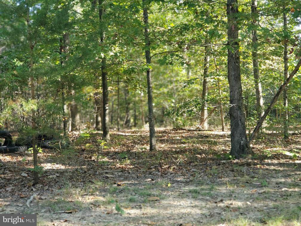 0 Black Walnut Run Road - Photo 1
