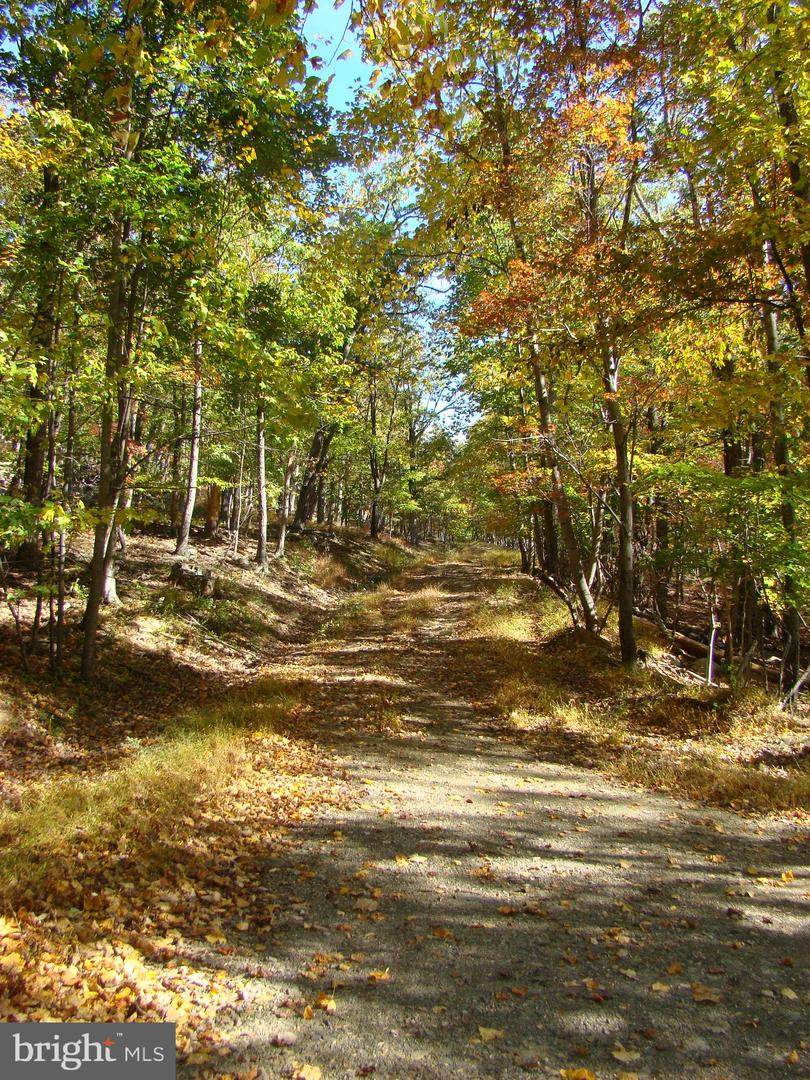 8 Otter Trail - Photo 1