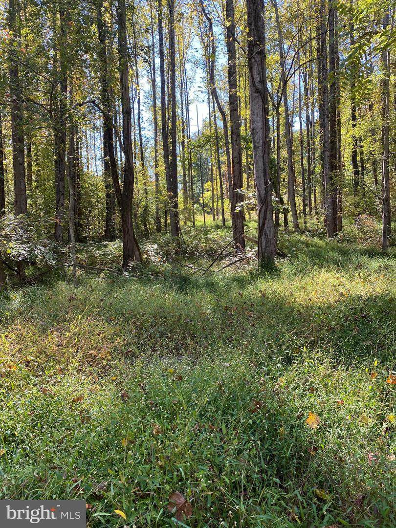 0 Walkers Mill - Photo 1