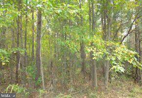 Elm Dr - Photo 1