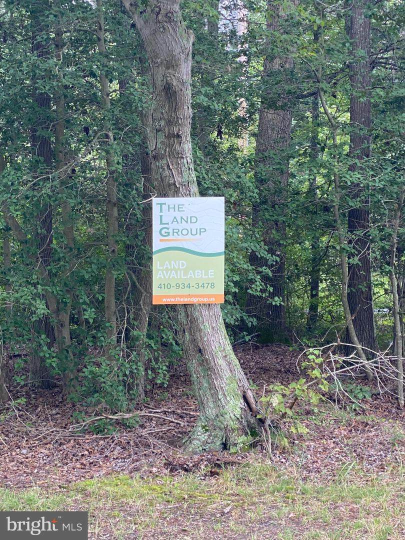 79.14 ACRES E/S Kent Point Road - Photo 1