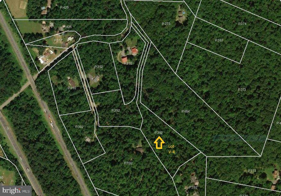 Crystal Falls Drive - Photo 1