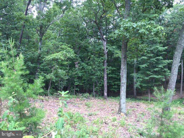 1615 Mercer Road - Photo 1