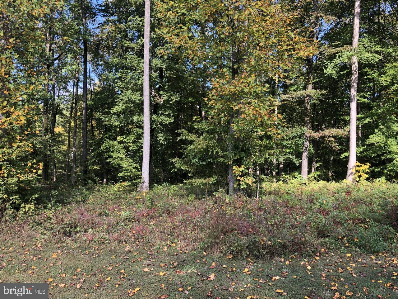 New Dawn Ct - Photo 1