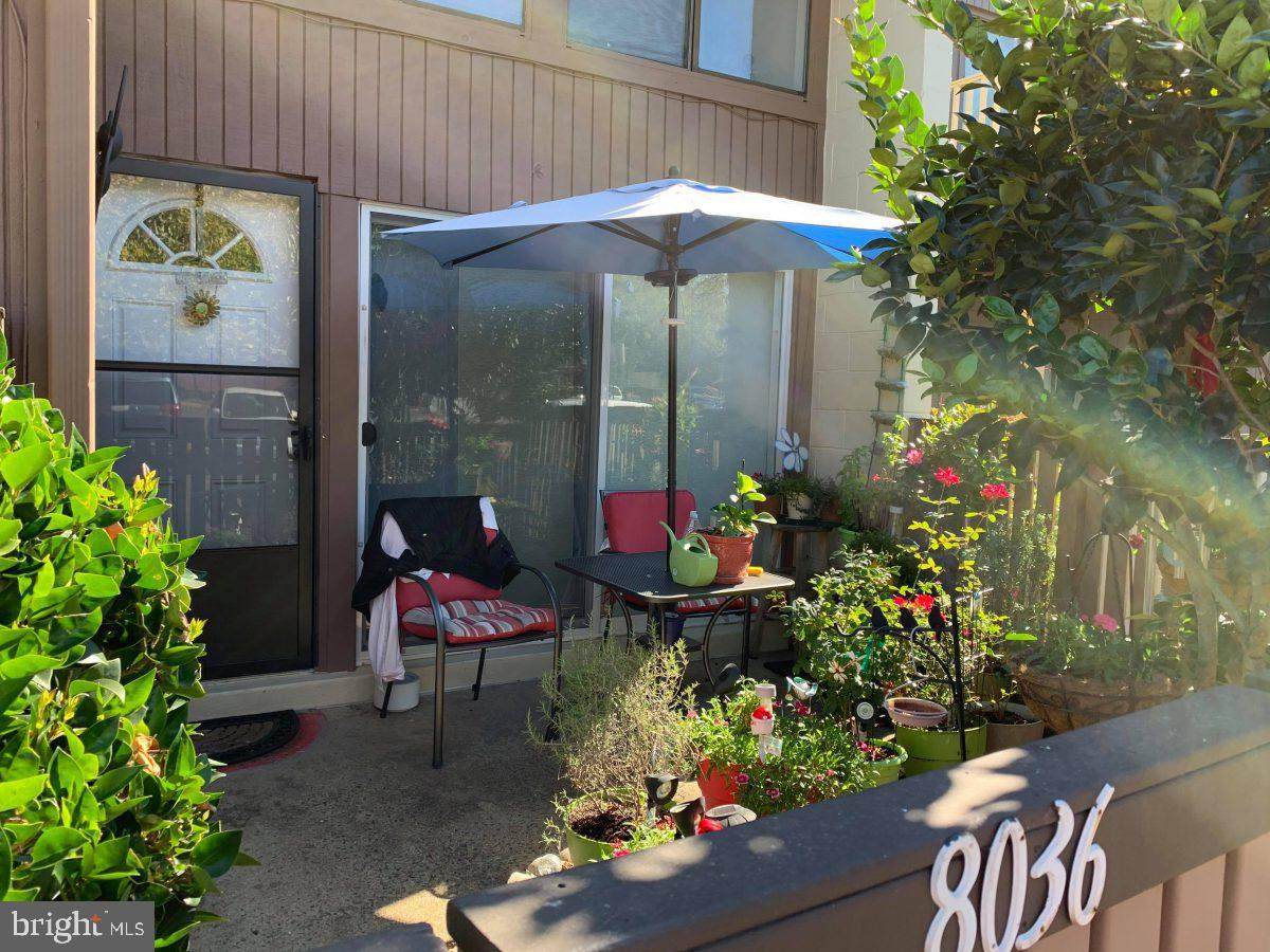 8036 Pantano Place - Photo 1
