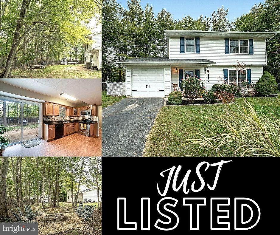 5610 Bluebeard Court - Photo 1