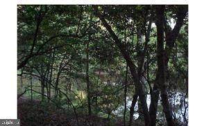 Placid Rd. - Photo 1