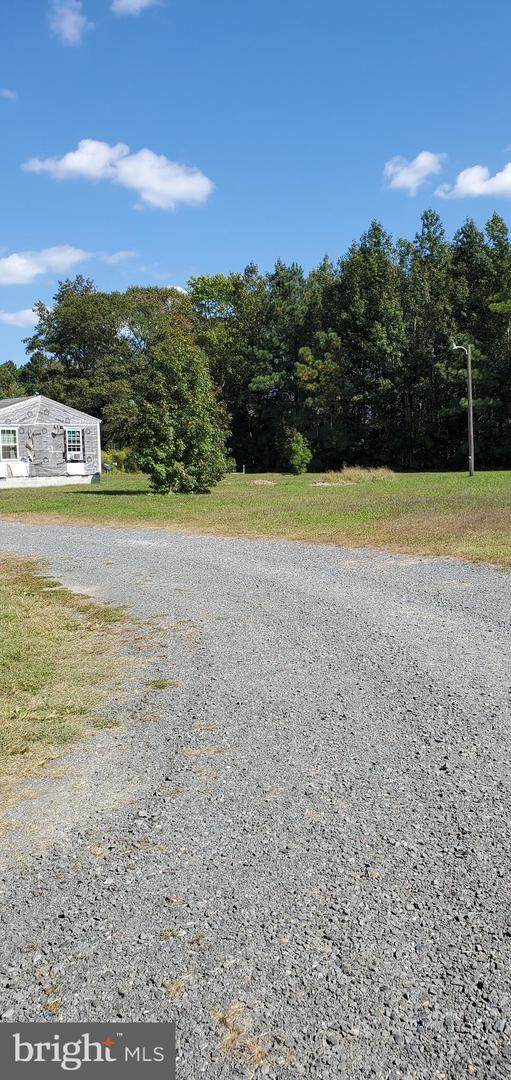 31449 Polly Branch Road - Photo 1