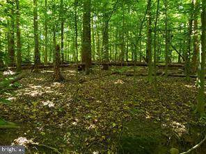7116 Sylvan Glen Lane - Photo 1