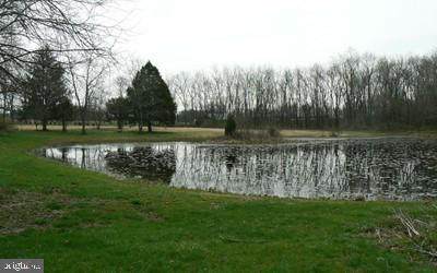 2455 Granite Station Road - Photo 1