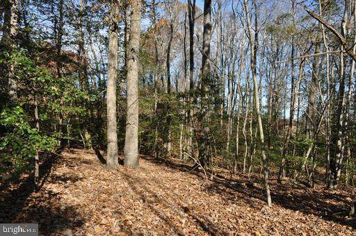 Flat Iron Rd - Photo 1