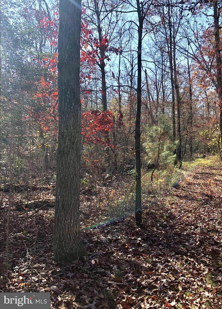 Turner Road - Photo 1